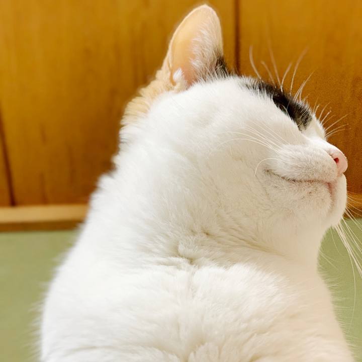 B5fd4c10 6d63 4844 ba61 5cb518441dee 1552358076881