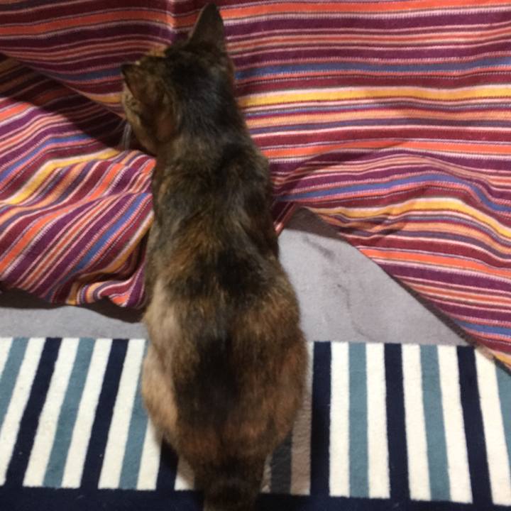 B5fd548d 140f 4c16 8400 76678a82aa5f 1540973241121