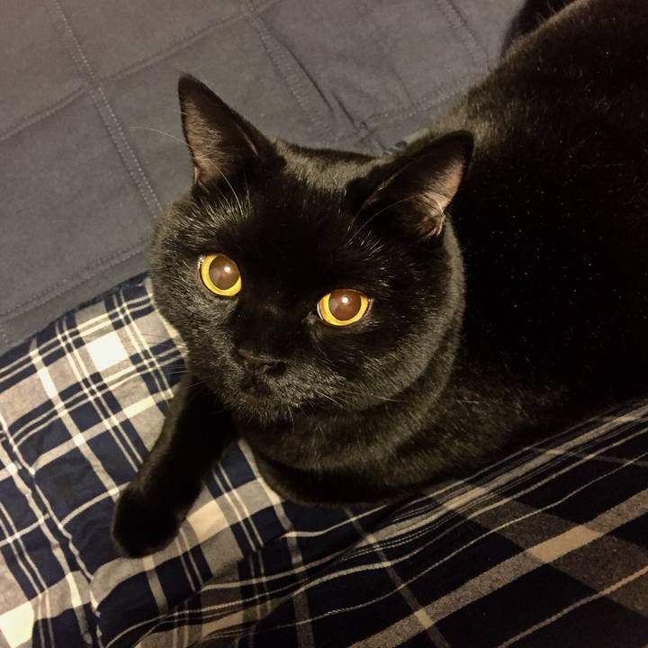 B5fd7bd0 c9f5 44f5 aa29 5e7274dfcb92 1513850262658