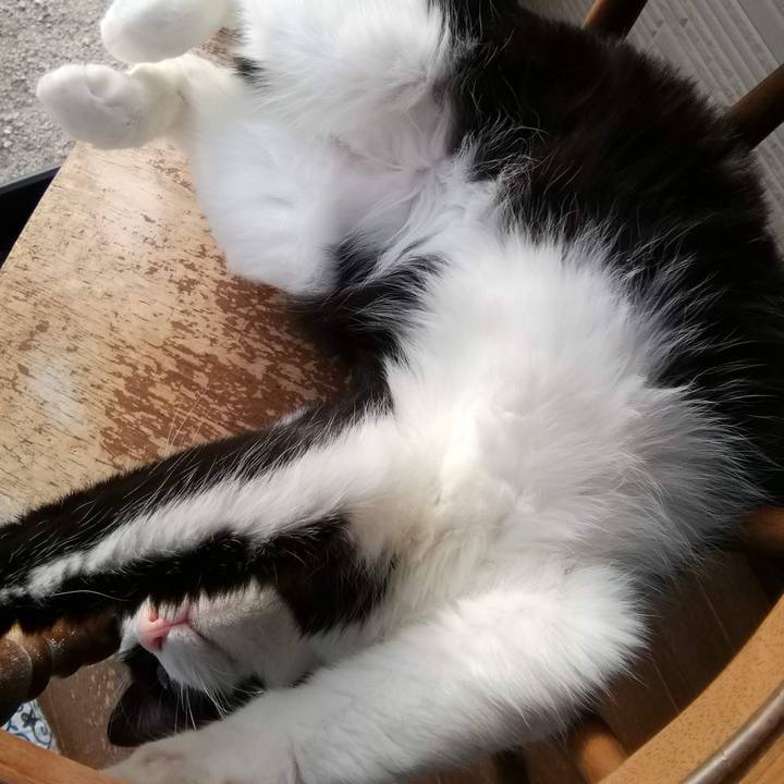 B5fd9d2f e6cc 4476 8058 53883f002f2b 1557397994012