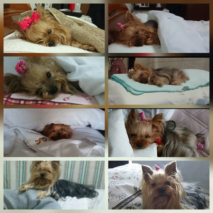 B5fde9ce cbef 4101 9e8b 57601179df14 1755787092739