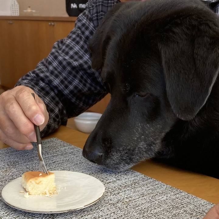 B5fdfae6 337e 4218 8472 63e5bee07713 1735470023667