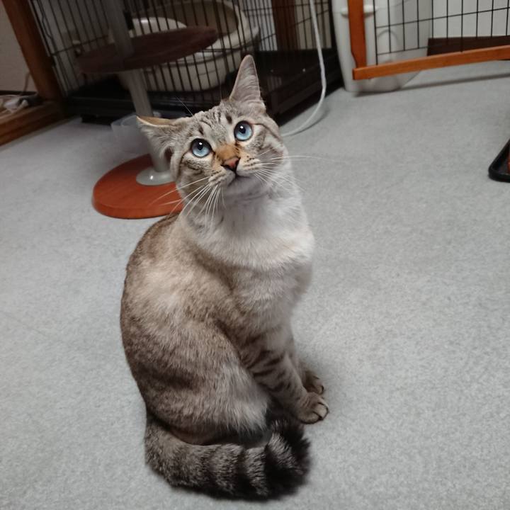 B5fdfbeb 6e7b 45d2 894e b6a07613d66a 1519211768232