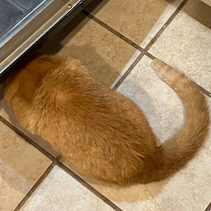 B5fe1370 5823 405a 99a4 cc94915562c2 1735176936975