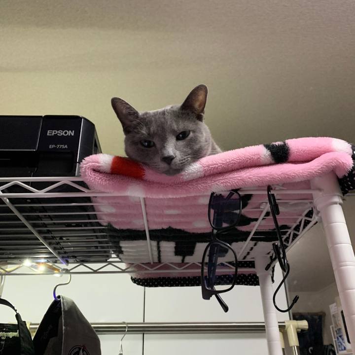 B5fe313a c463 4945 864a 205292af8094 1669033845104