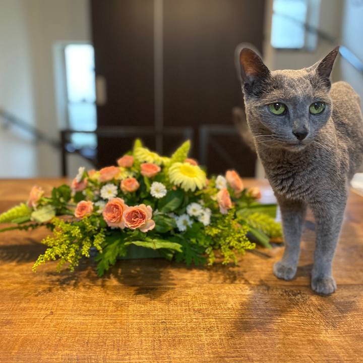 B5fe37f1 65ae 48dc 801e c0e1085ab9b9 1595836004052