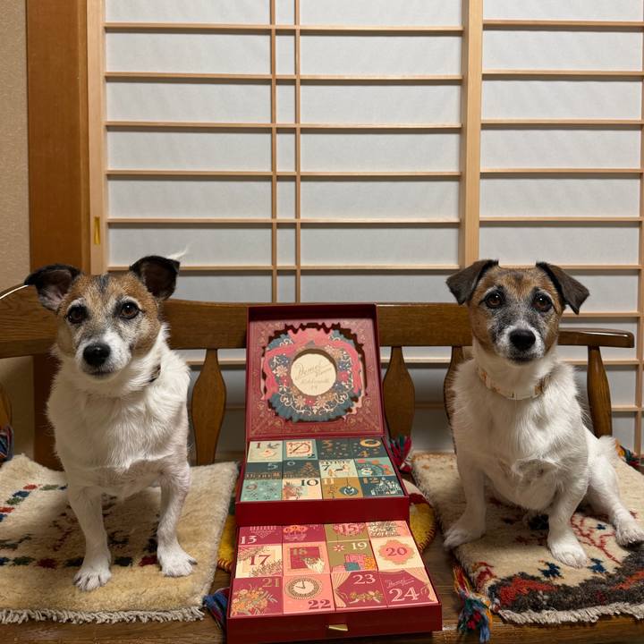 B5fe48a3 a357 4595 bb0a 260374269d46 1764496282791