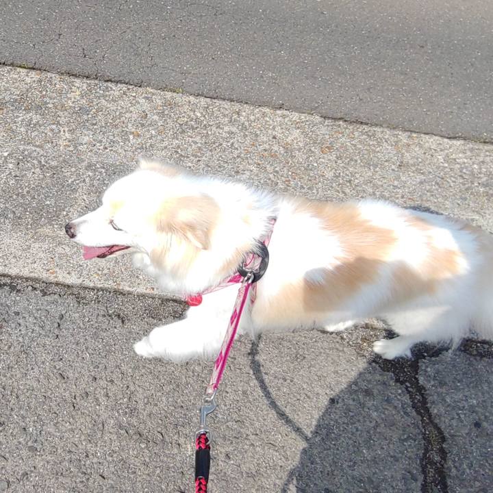 B5fe5fd1 5132 454a bdef 3516b8833dae 1654991931283