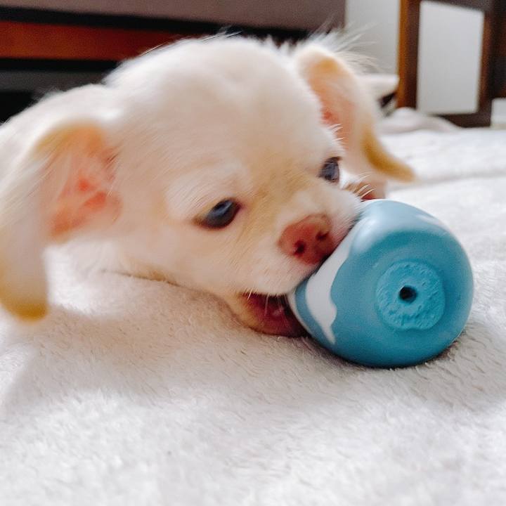 B5fe6805 1fb8 462c ac37 b654ac3f7b46 1591506060926