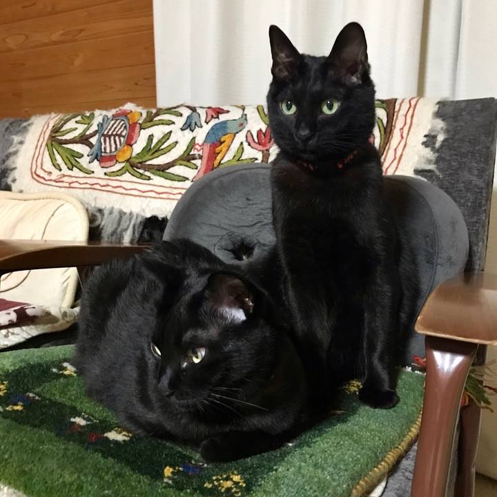 B5fe8ba8 5016 4079 8491 ad56ab9e26c9 1554041694709