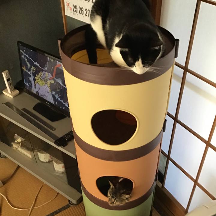 B5fe932b 13c4 48b1 9dcd 9c520a15aec9 1659244165855