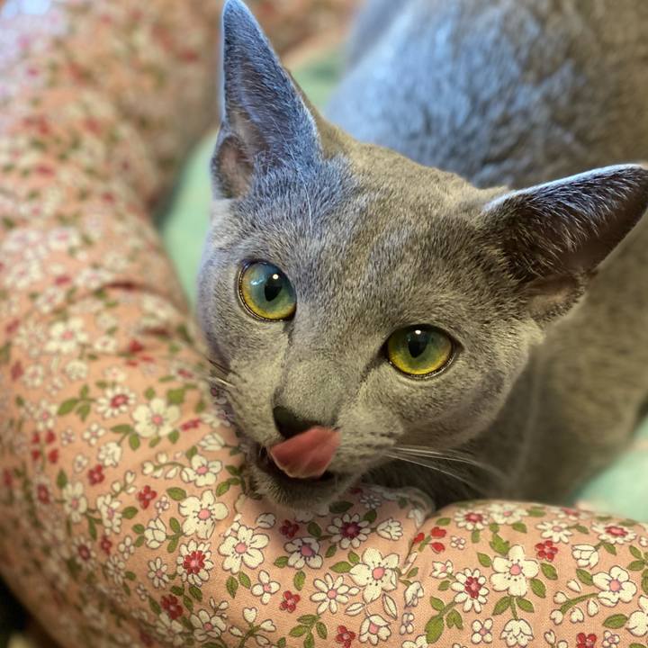 B5fed73f 07e0 4b04 831c afd39db059e6 1614484864629