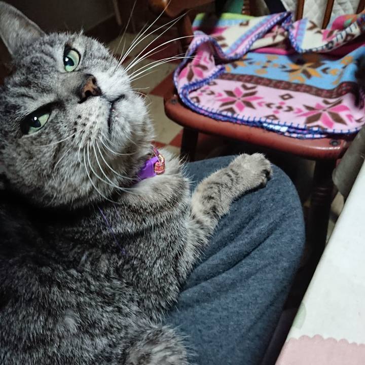 B5fee82d e569 479f 8bb4 64ca2cb71cd0 1579899048760