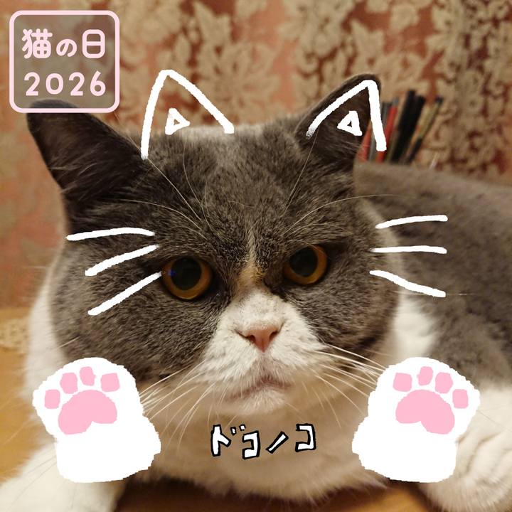 B5ff12ac d3c9 4077 b6b4 dae51abc4c7d 1771773376621