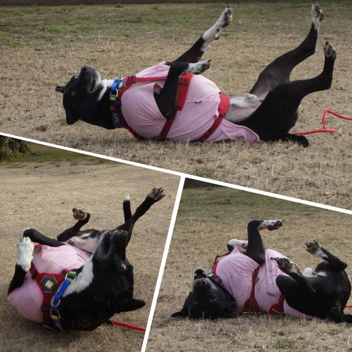 B5ff374b 1542 45dc 8234 c7325bb731c1 1676767874326