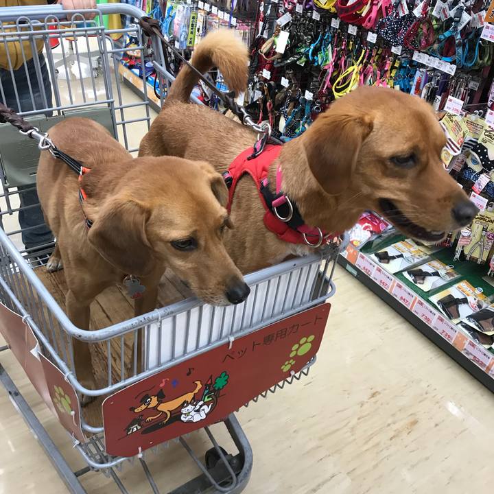 B5ff52ec e0a0 4fe6 8e48 d4e867e981a4 1513046861268