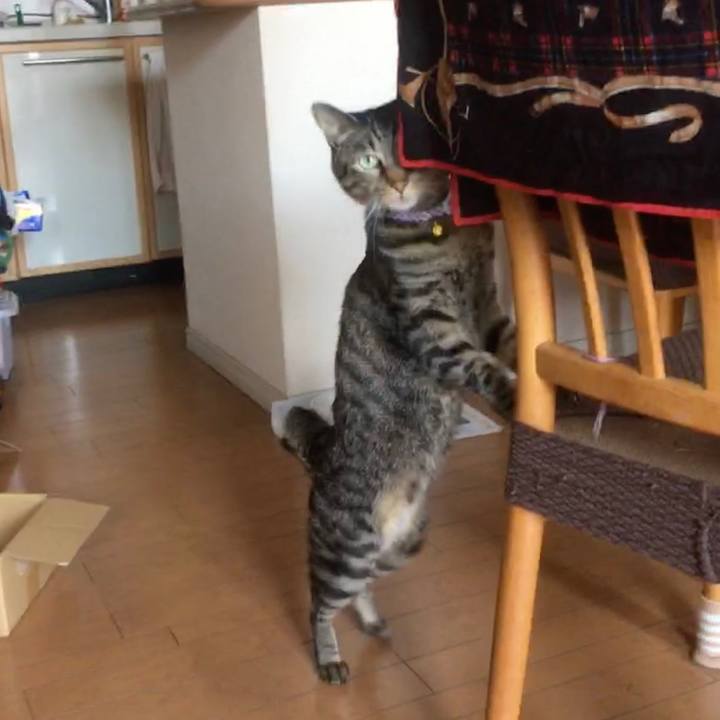 B5ff94d5 18a6 412c 966a db7851b9dd00 1587528378109