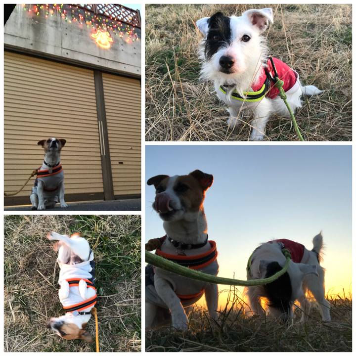 B5ff97e8 d2ae 4201 ab05 7ce63f5a1140 1512547562274