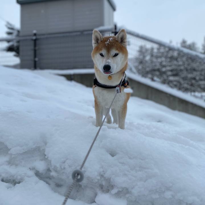 B5ff9dac bf12 4f4b 9e0a 475a36ceea8f 1613528216296