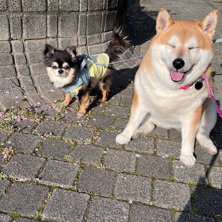 B5ffdcb8 7958 476f 8041 d6423c55119b 1680521054577