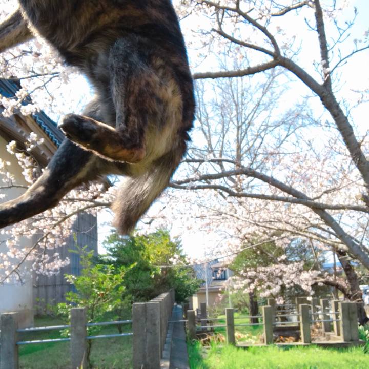 B5ffedcf a7e5 48b4 9ab0 a5b35939df46 1523251312555