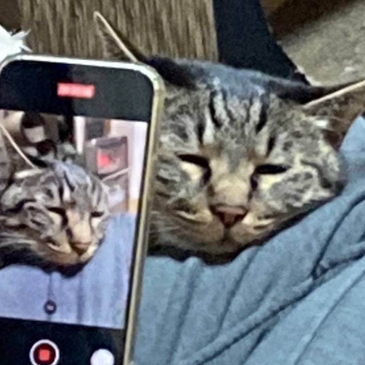 B60062f3 6b63 4ba3 8925 7c116ca261d5 1645649748326