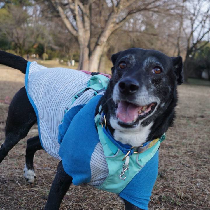 B600670d 57e6 4dc9 88a4 5c524cb76405 1772152267327