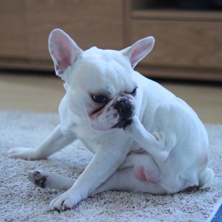 B600718b 3752 4398 8cf3 2472c19e1659 1558613291759