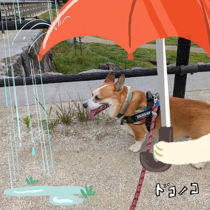 B600b504 d32a 46b8 ac6b e1241d28efb4 1749689208978