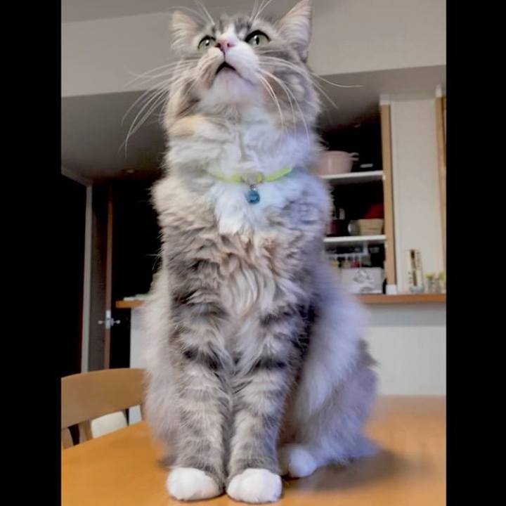 B600d9c8 20c8 4d99 b227 dfc781e84716 1752334909683