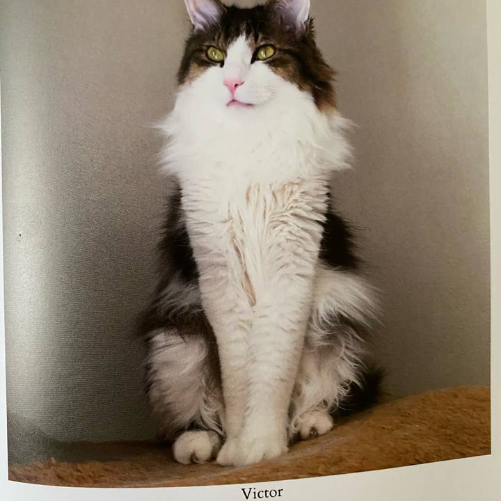 B600e650 c054 45c6 a345 4c41416f6bdb 1663542900257