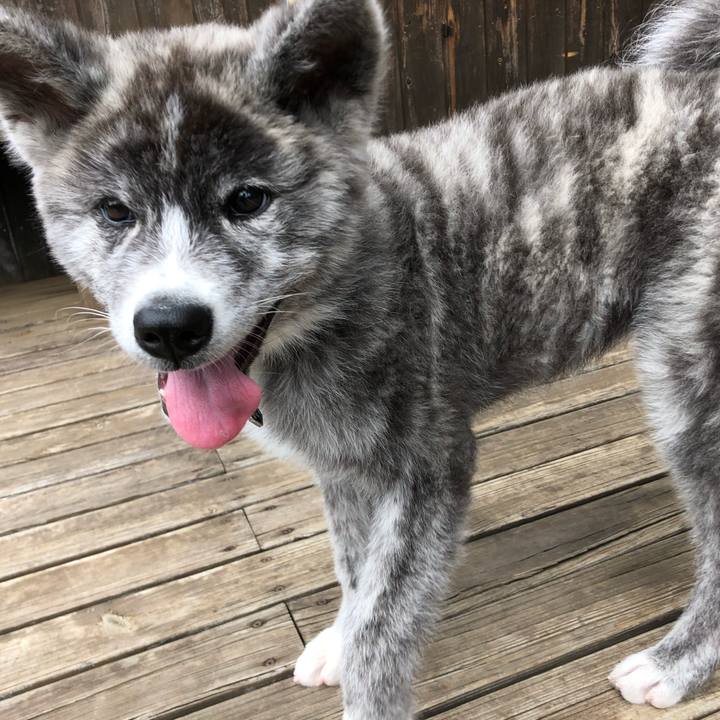 B601287e f0bc 45c4 8bf9 c479ea3c577a 1557119574941