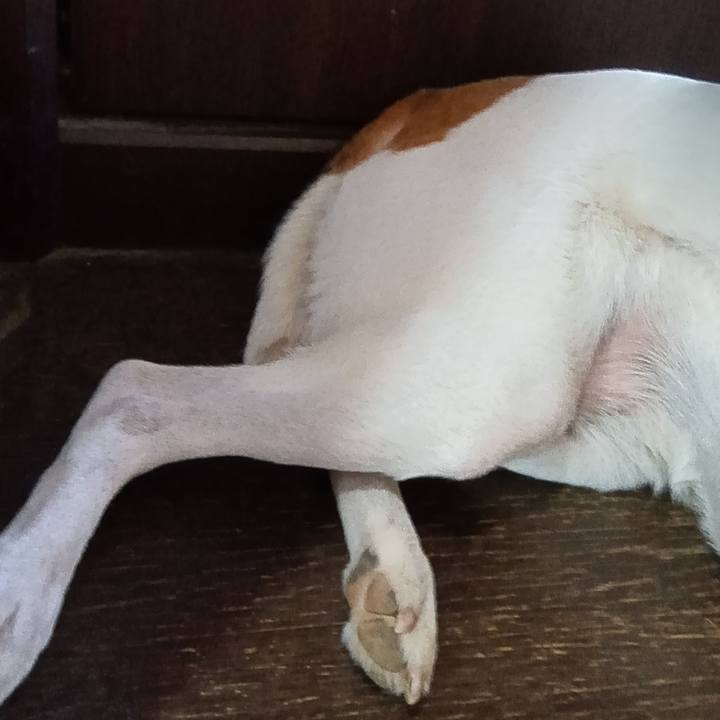 B60128ae 20cc 4375 a696 466363183d40 1722933502529