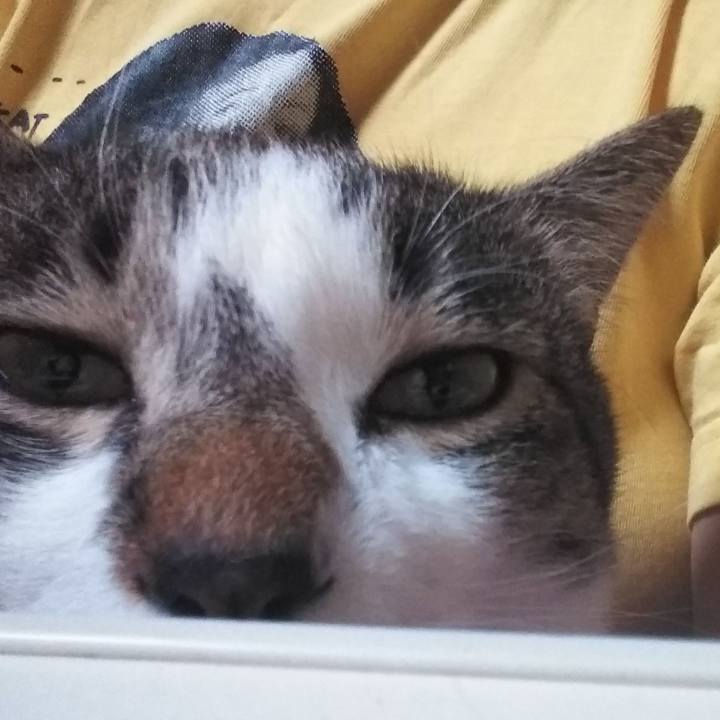 B6013a75 ff38 4699 a860 2f92eecdb1d7 1607933501080