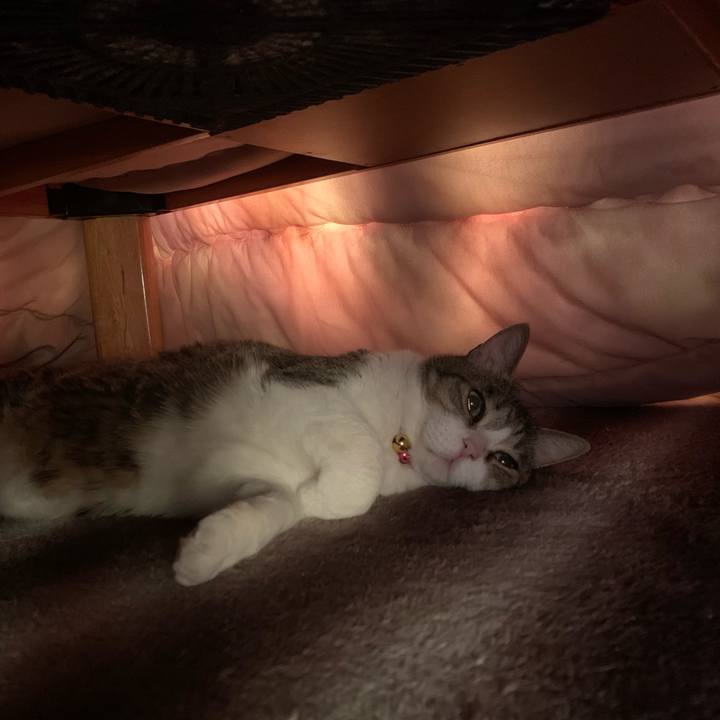 B6018a6c 9eb4 40fa b4bf 8afc743d9df9 1641775376837