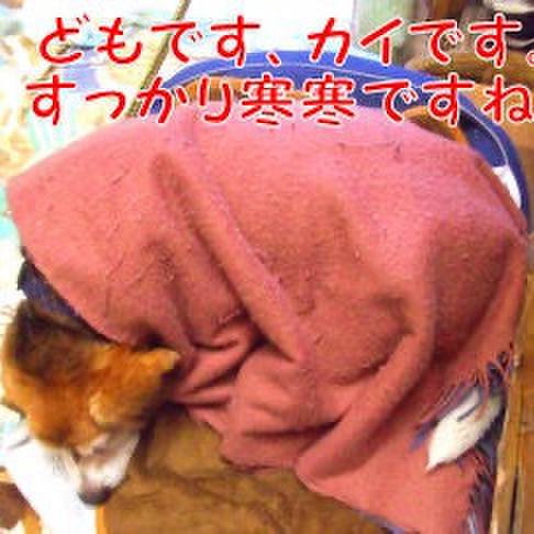 B601a2b4 03b9 4d1e 8637 8b0e78ec4838 1702426299927