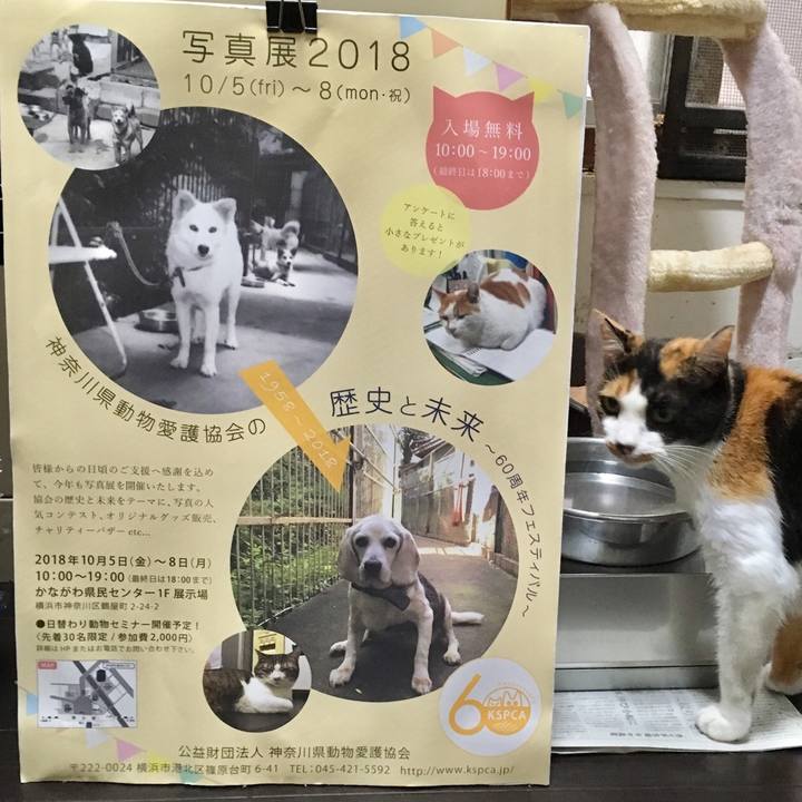 B601febf 4910 4321 8185 9a76650221bc 1538951343811