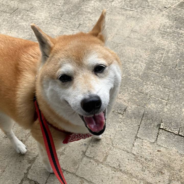 B6020277 8ac8 4d39 98c3 6a137eeb5b6a 1625044230262