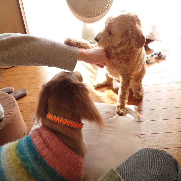 B6021055 445d 4b47 bfef 19388bcf7e95 1672549245001