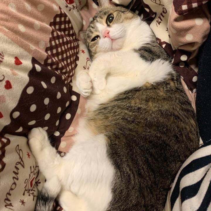 B6021575 9be1 4c34 b1dc f4e3667989a5 1610361622235