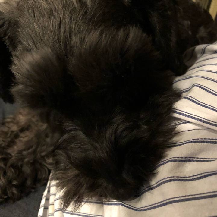 B6022a0c 024e 4dbb 9540 00c37d69b895 1540469352190