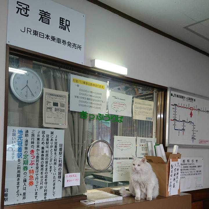 B6023aa5 d4e7 426f bbaf 8cb1fbfae4dc 1523831108062