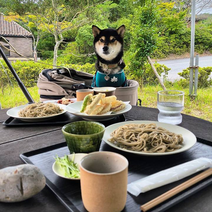 B6024496 959f 4f4e a088 4fbdd424316e 1760189253549