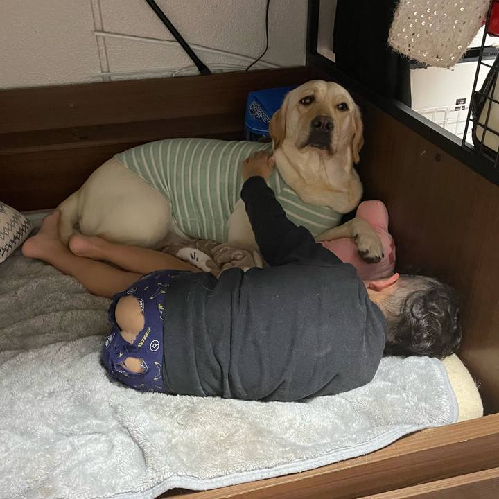 B6029a45 debe 40e1 a023 eaf7408b8ee0 1669378705278