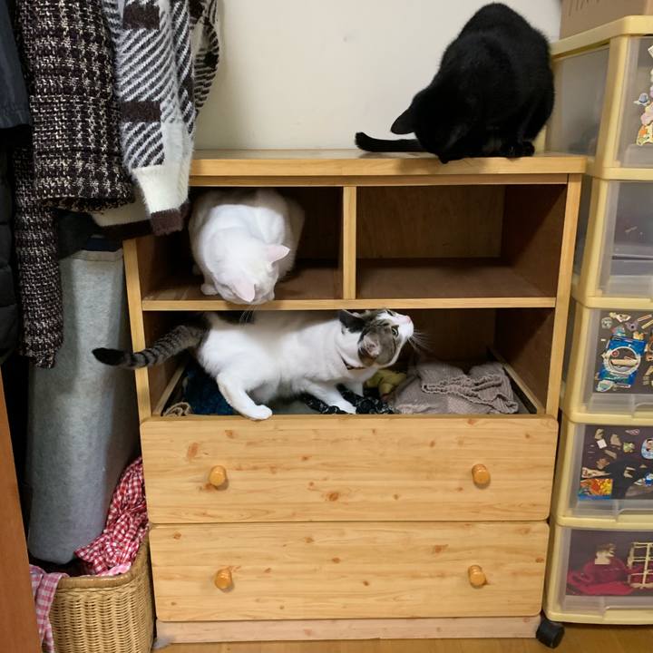 B602ab7b 6af7 42fa bde1 be855ac69228 1616298990719