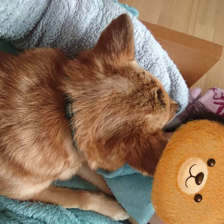 B602aeb2 c623 4c13 8856 e82c1f92e42c 1549759106672