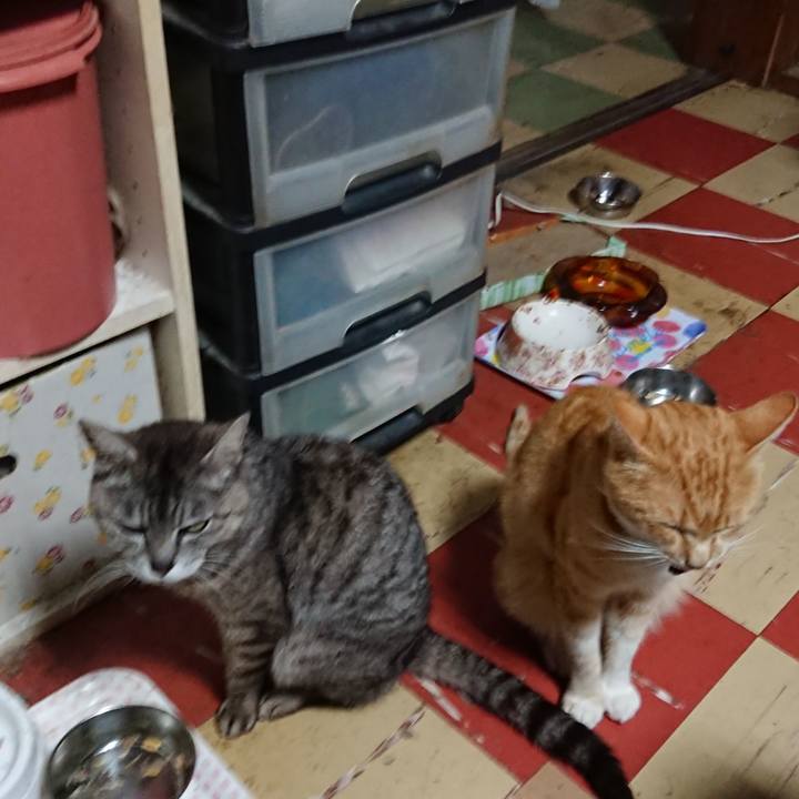 B602ddc9 b464 48c7 b921 e87c7147774e 1561668858642