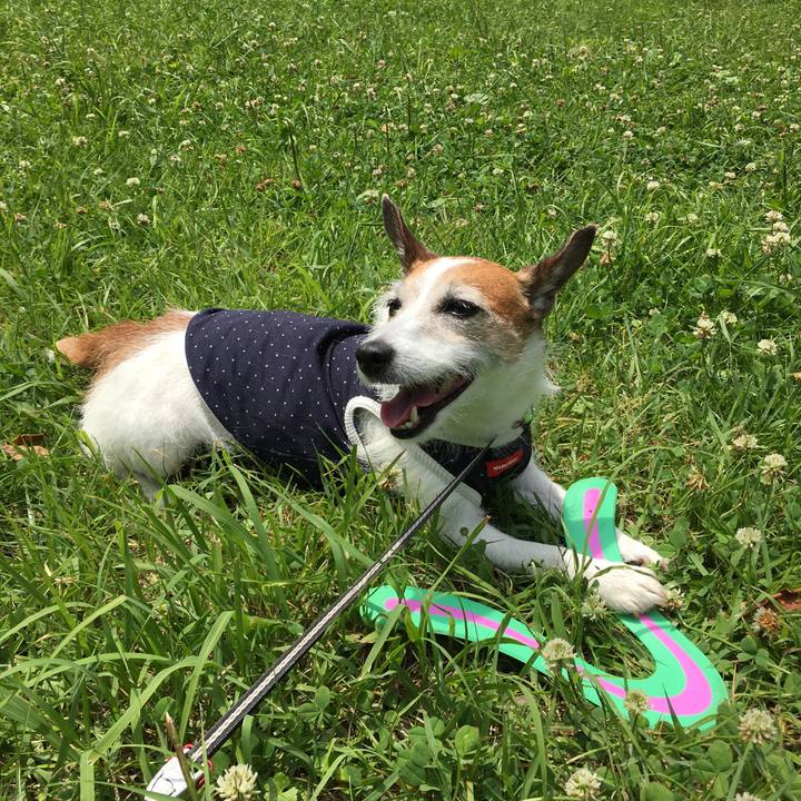 B60307d1 250a 42ab 99dd 44aea7b56fd3 1654816875293