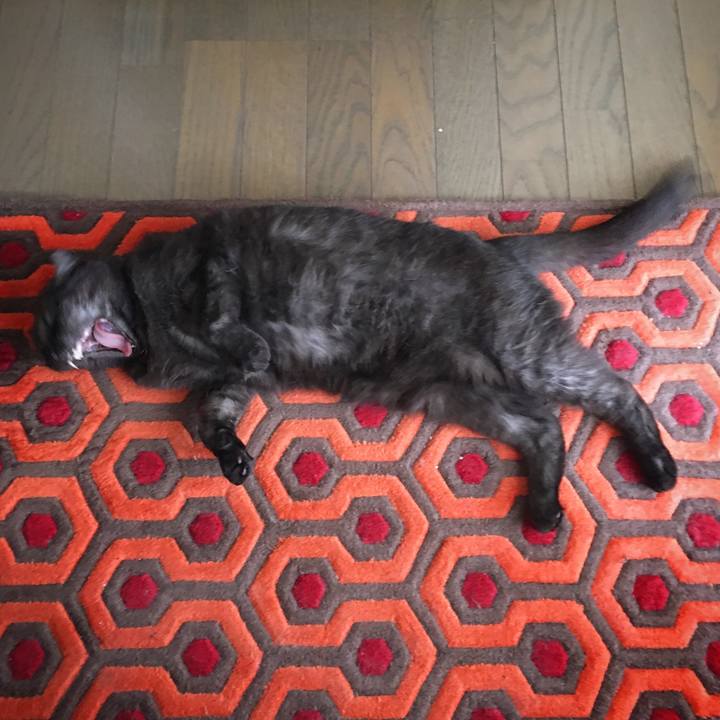 B603439e 8019 416e 81f9 04468ab60805 1567391647355