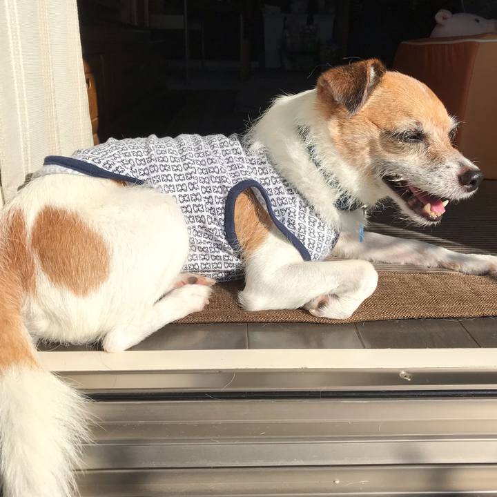 B603517f 9fca 402a a01d 537d108e38f1 1568681112620